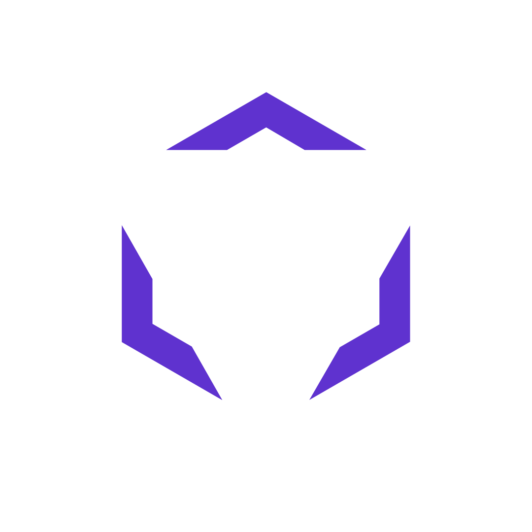 BTCPay Server